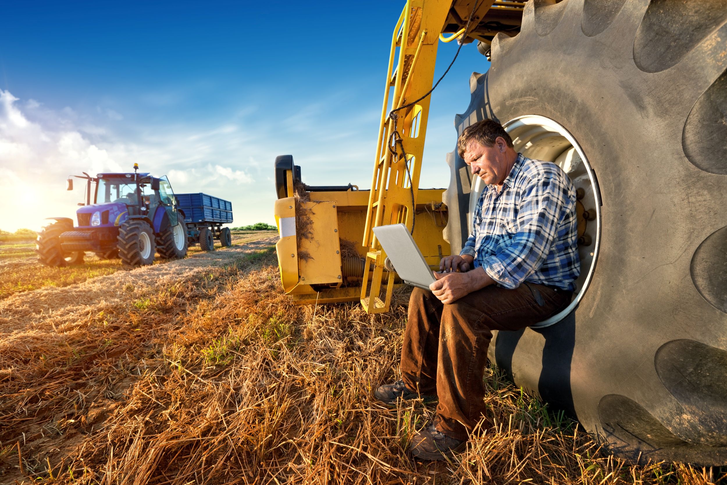 Farmer on the field seating on tire of a tractor