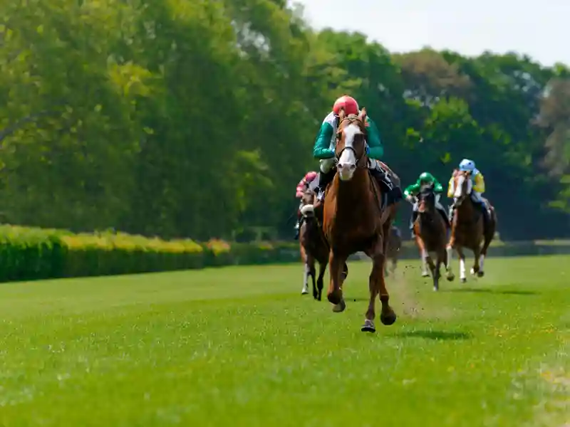 Jockey racing a horse