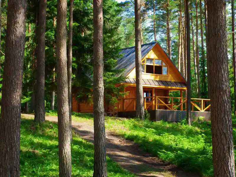 cabin in the woods
