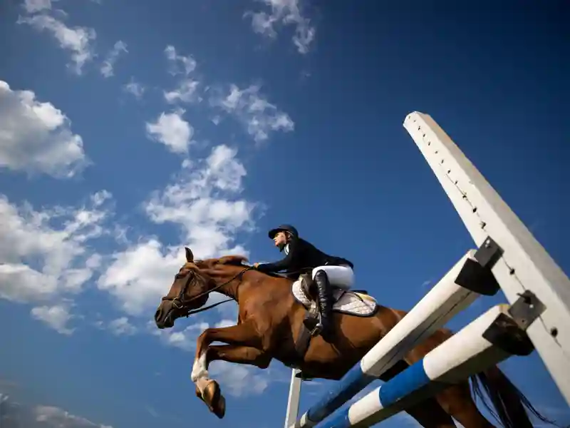 A girl on a brown horse jumping a fence.