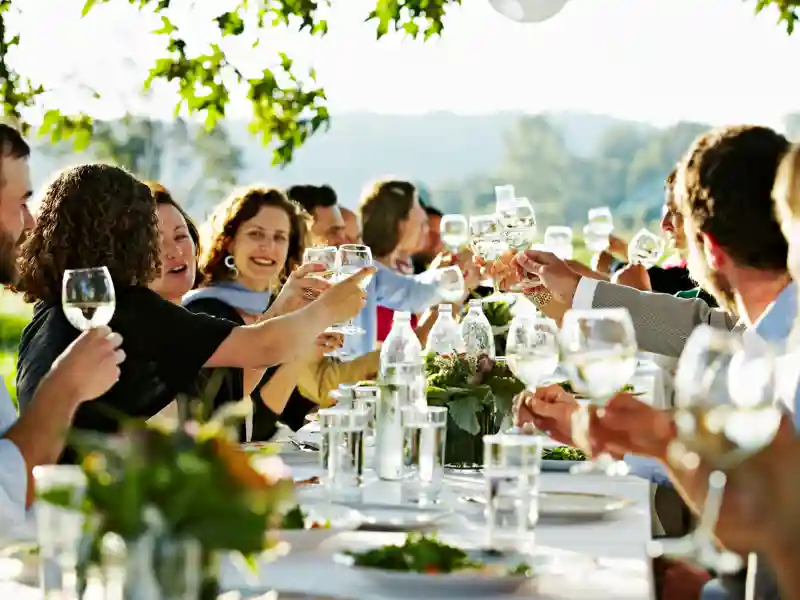 Wedding guests toasting glasses after a speech.