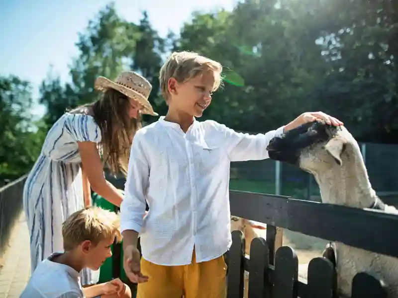 Children petting sheep.
